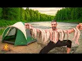 Download Lagu العيش الحر: تحدي البقاء 48 ساعة في البرية 🏕️ | صيد بطرق مختلفة 🎣🪓