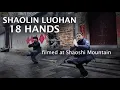 Download Lagu Shaolin Luohan 18 Hands (罗汉插花十八手) – Joel Achermann \u0026 Nao Kawashima | Traditional Shaolin Kung Fu