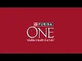 PURINA ONE Dry Dog Food Advanced tailored nutrition for dogs