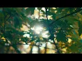 （精挑細選）（齊秦）大約在冬季。原來的你 分享