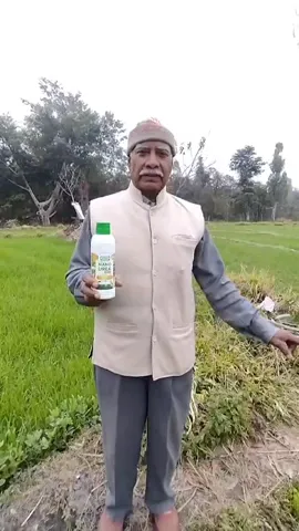 हिमाचल प्रदेश के कांगड़ा में रहने वाले किसान हरिचंद ने अच्छी फसल के बताए राज | वनइंडिया हिंदी
