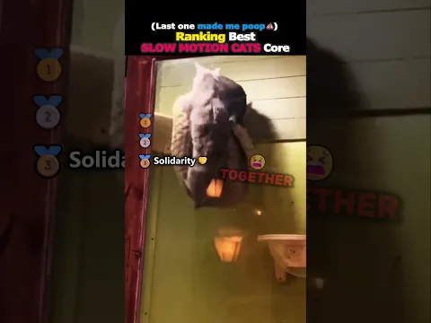 Ranking Best SLOW MOTION CATS Core Part.21😈💥#usa