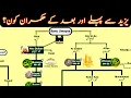 Download Lagu Umayyad Dynasty Family Tree | Family Tree of Banu Umayyah