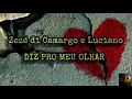 Zezé di Camargo & Luciano- Diz Pro Meu Olhar (LETRA)