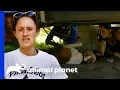 Can The Villalobos Team Help This Elderly Dog Found Under A Trailer Pit Bulls Parolees
