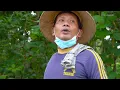 Download Lagu GOTONG ROYONG DESA KALIWEDI