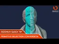 RizomUV Snelle tip: conversie van primitieve selectie