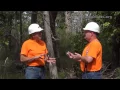 How Do I Attract Bats with Jim Kennedy