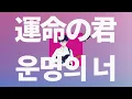 옆 반의 너에게, 노래를 보냅니다🎧: 메가 신노스케 - 운명의 너(運命の君) [가사/발음/한글 자막/해석]