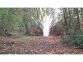 FireBird reactive targets Airgun exploding targets