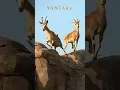 Download Lagu https://www.instagram.com/reel/DOsi_5GEyJY/?igsh=b2I4aHBvc2ZqdjYy