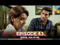 Download Lagu Bhool Jaa Ay Dil Episode 43