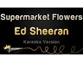 Download Lagu Ed Sheeran - Supermarket Flowers (Karaoke Version)