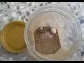 Lizard eggs hatching