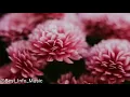Download Lagu Cinta Kedua - Five Minutes (LIRIK)