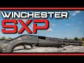 Winchester SXP 12 Gauge Pump Shotgun Review