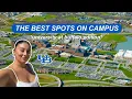 I asked UB students their favorite spot on campus university at buffalo