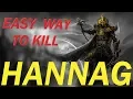 Divinity Original Sin 2 - Easy way to kill Hannag