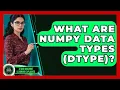 What Are NumPy Data Types dtype - AI and Machine Learning Explained