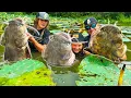 NOODLING GIANT CATFISH IN iLLINOIS YOU WON T BELIEVE THE SIZE OF THE FLATHEADS IN STATE