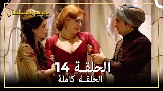 حريم السلطان الحلقة 14 مدبلج 