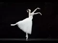 Lagu Giselle – Act II pas de deux (Marianela Nuñez, Vadim Muntagirov; The Royal Ballet)
