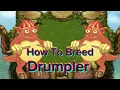 How To Breed Drumpler My Singing Monsters for bigginers