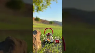 اغاني ميحد حمد 