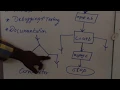 Phases in Programming Algorithm and Flowchart C quickly