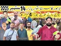 Download Lagu Lahore sunday birds market 2025 | birds market 