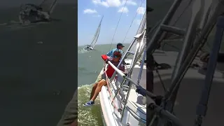 Peanut Regatta 30 #shorts