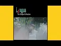 Download Lagu Lingua - Takkan Habis Cintaku