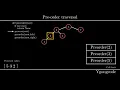 Pre-order Traversal Algorithm Tree Traversal Visualization Code Example