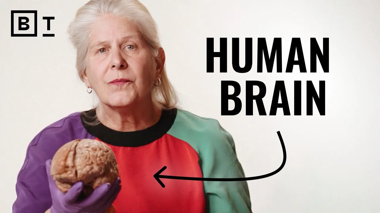 Outline Video Expand your perception. Change your life. | Dr. Jill Bolte Taylor