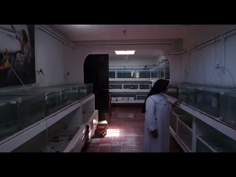 A Common Sequence (trailer) – First Look 2023