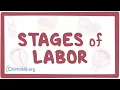 Download Lagu Stages of labor - physiology