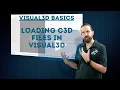 Visual3D Basics - Loading C3D files in Visual3D