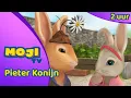 DE MEGA PIETER KONIJN COMPILATIE π° | DEEL 45 β¨ | Nederlandse Kinderseries | MojiTV