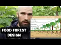 Lagu the ONLY Food Forest video you need to watch (syntropic agroforestry) / NZ