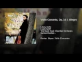 Violin Concerto, Op. 14: I. Allegro