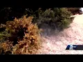 Oklahoma allergist says upcoming spring allergy season looks bad