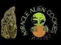 MAC 1 aka Miracle Alien Cookies Cap s Cut STRAIN REVIEW