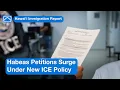 Hawaii Immigration Habeas Petitions Surge Under New ICE Policy