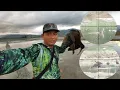 Download Lagu NYANGGONG  BURUNG SINTAR, GAJAHAN SANGAT MELIMPAH DI SINI.