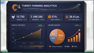 Turkey Farming Data Analysis Project From Raw Data to Insights