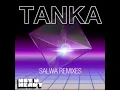 Download Lagu Tanka - Salwa (Nitsuj Bootleg Remix)