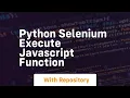 python selenium execute javascript function