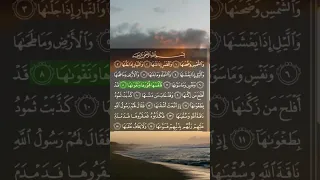 سورة الشمس بصوت فارس عباد 