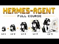 HERMES AGENT FULL COURSE 3 HOURS Build Sell 2026