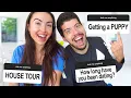House Tour Getting a DOG Q A w Typical Gamer